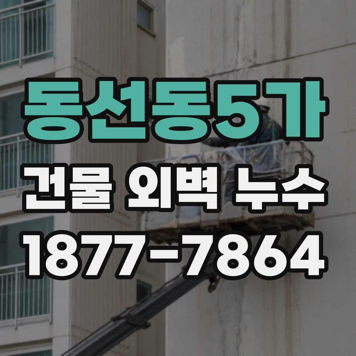 동선동5가 건물 외벽 누수 의심 부위 확인 요령
