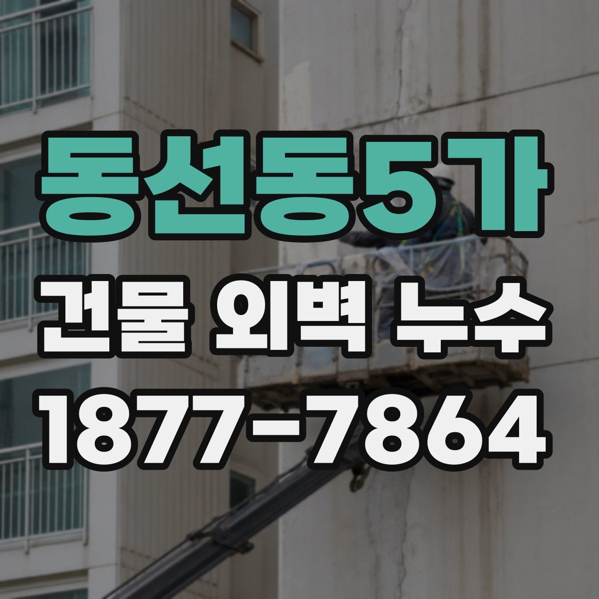 동선동5가 건물 외벽 누수
