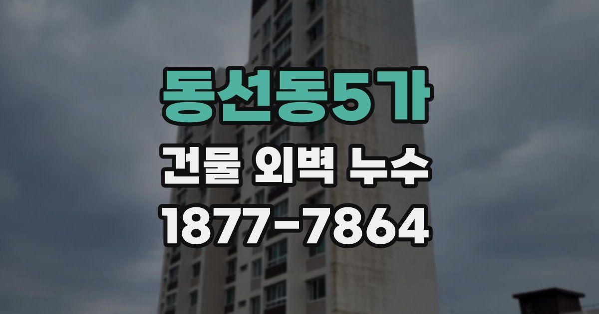 동선동5가 건물 외벽 누수