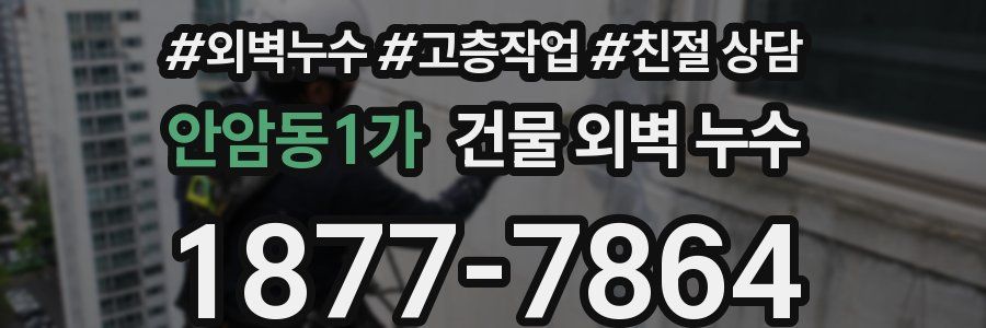 안암동1가 건물 외벽 누수