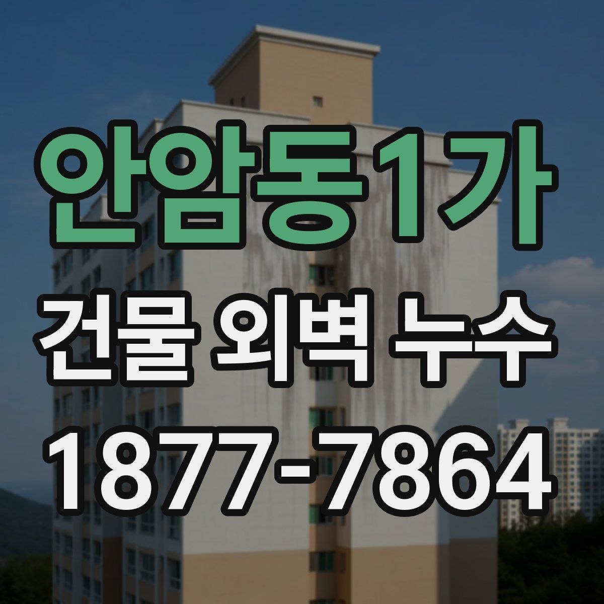 안암동1가 건물 외벽 누수
