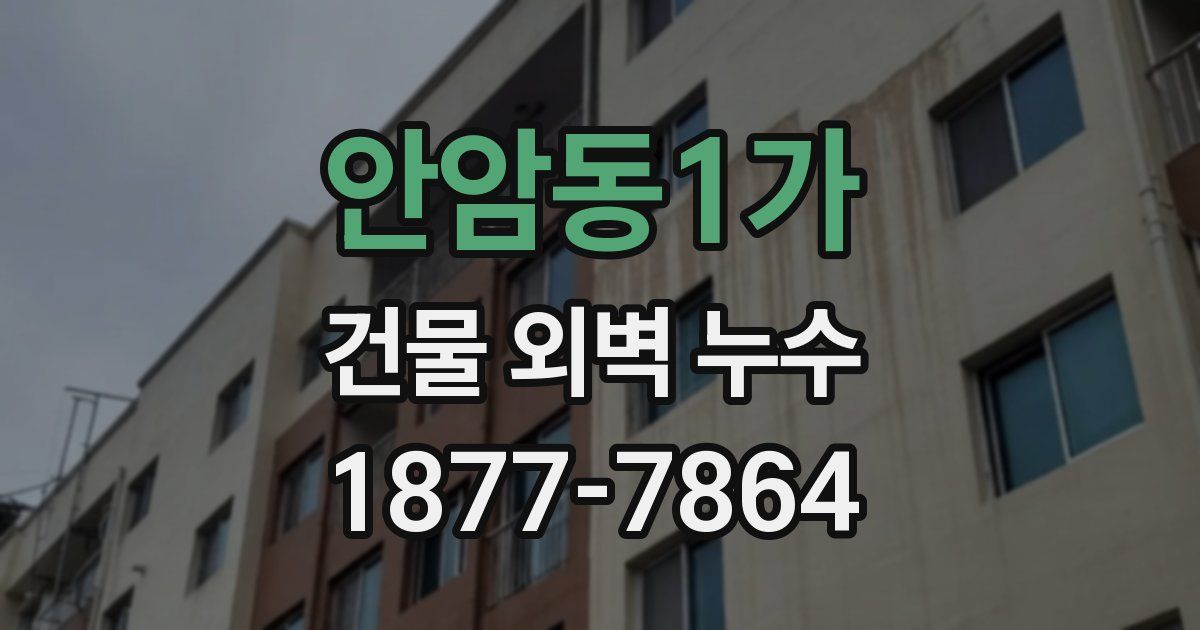 안암동1가 건물 외벽 누수