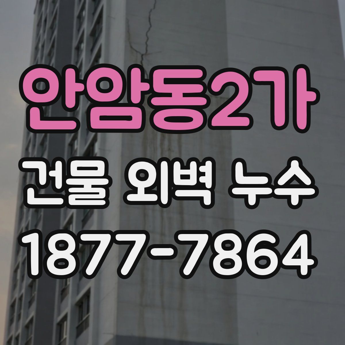 안암동2가 건물 외벽 누수
