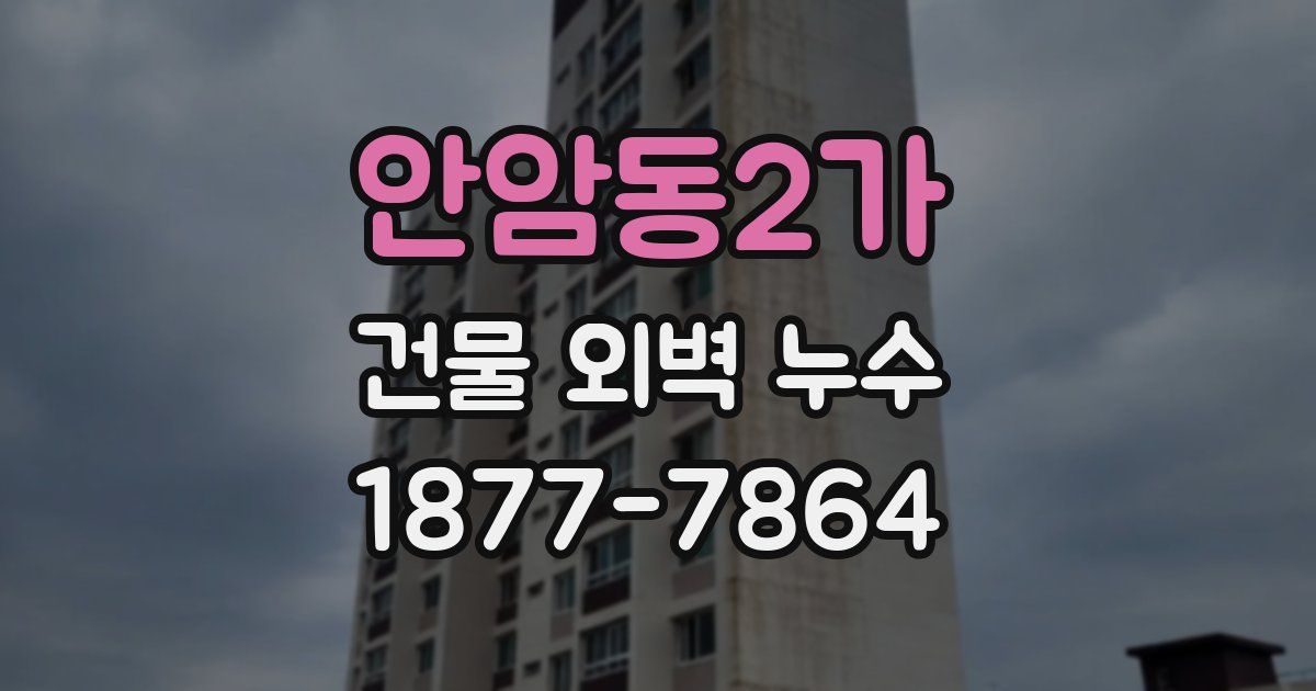 안암동2가 건물 외벽 누수