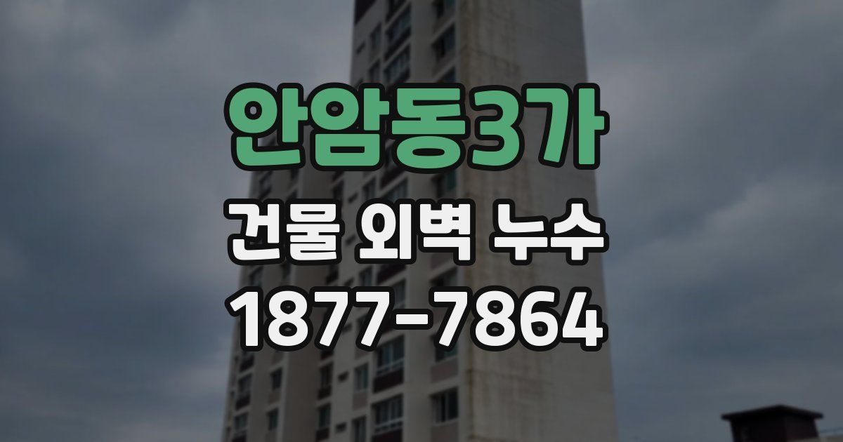 안암동3가 건물 외벽 누수