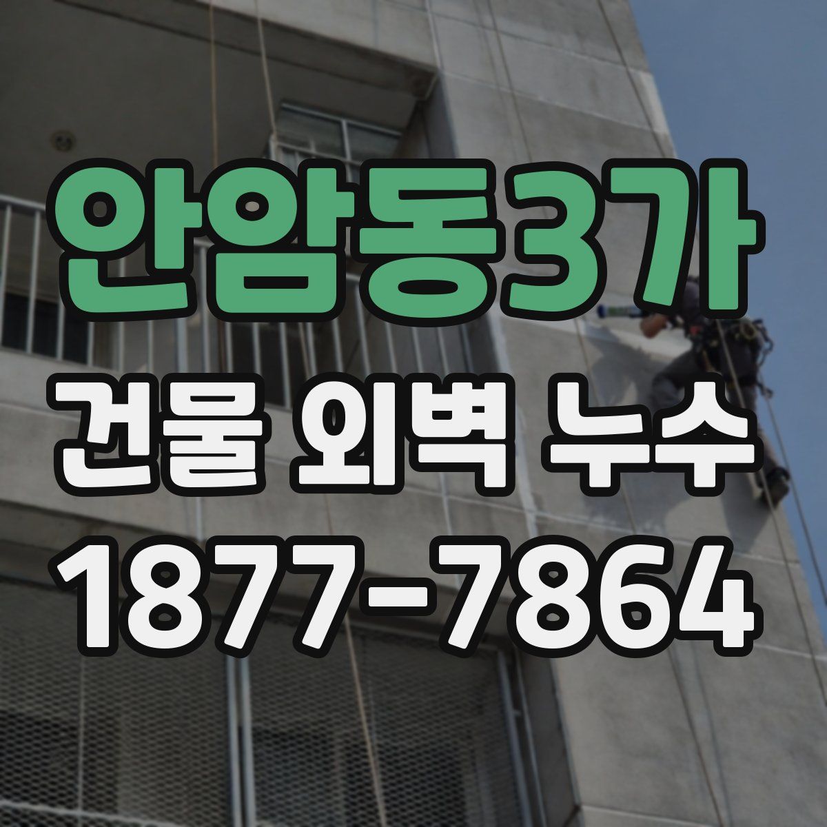 안암동3가 건물 외벽 누수