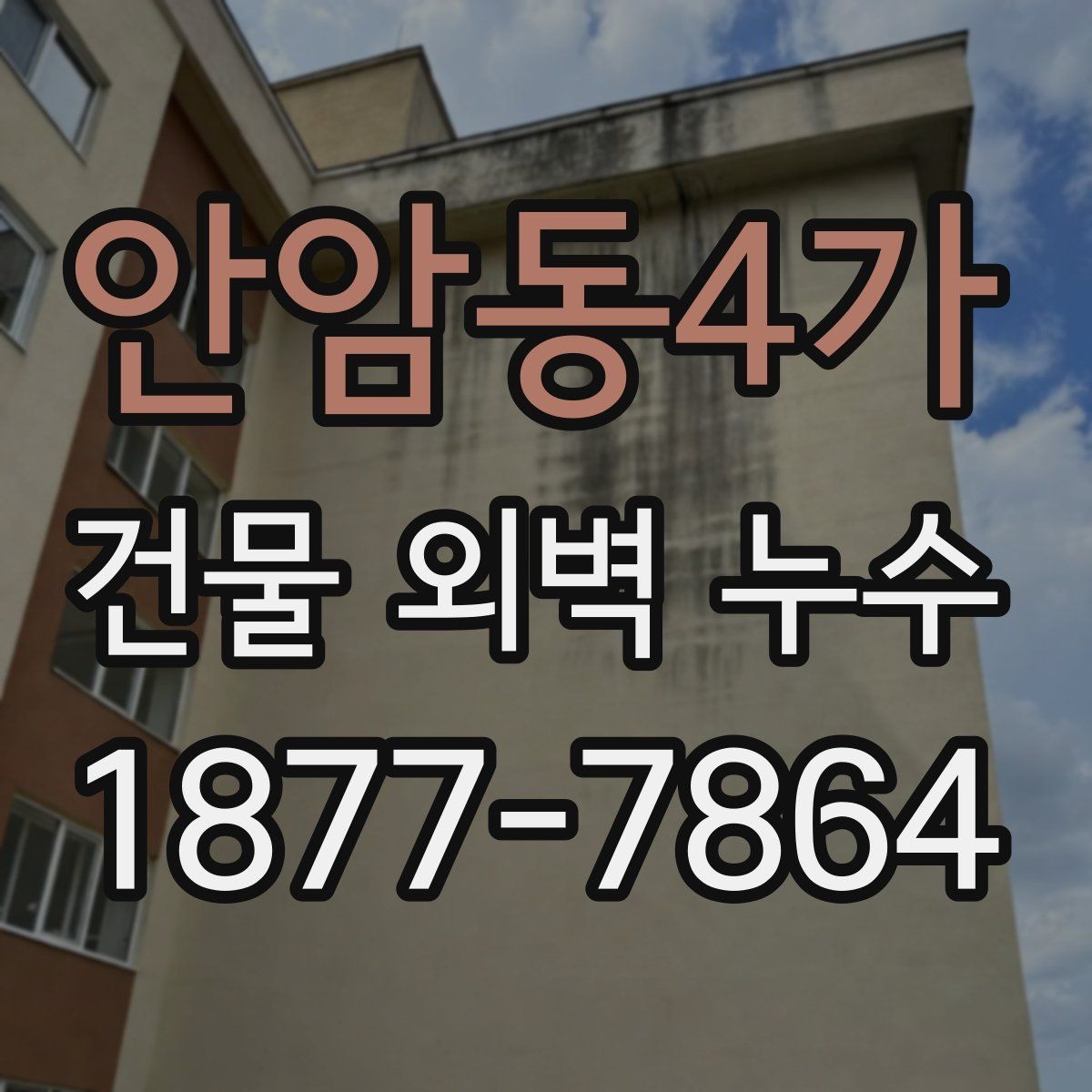 안암동4가 건물 외벽 누수 진단 후 진행되는 작업들