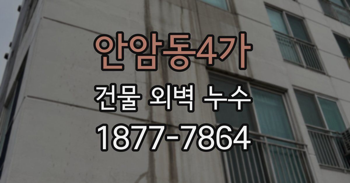 안암동4가 건물 외벽 누수
