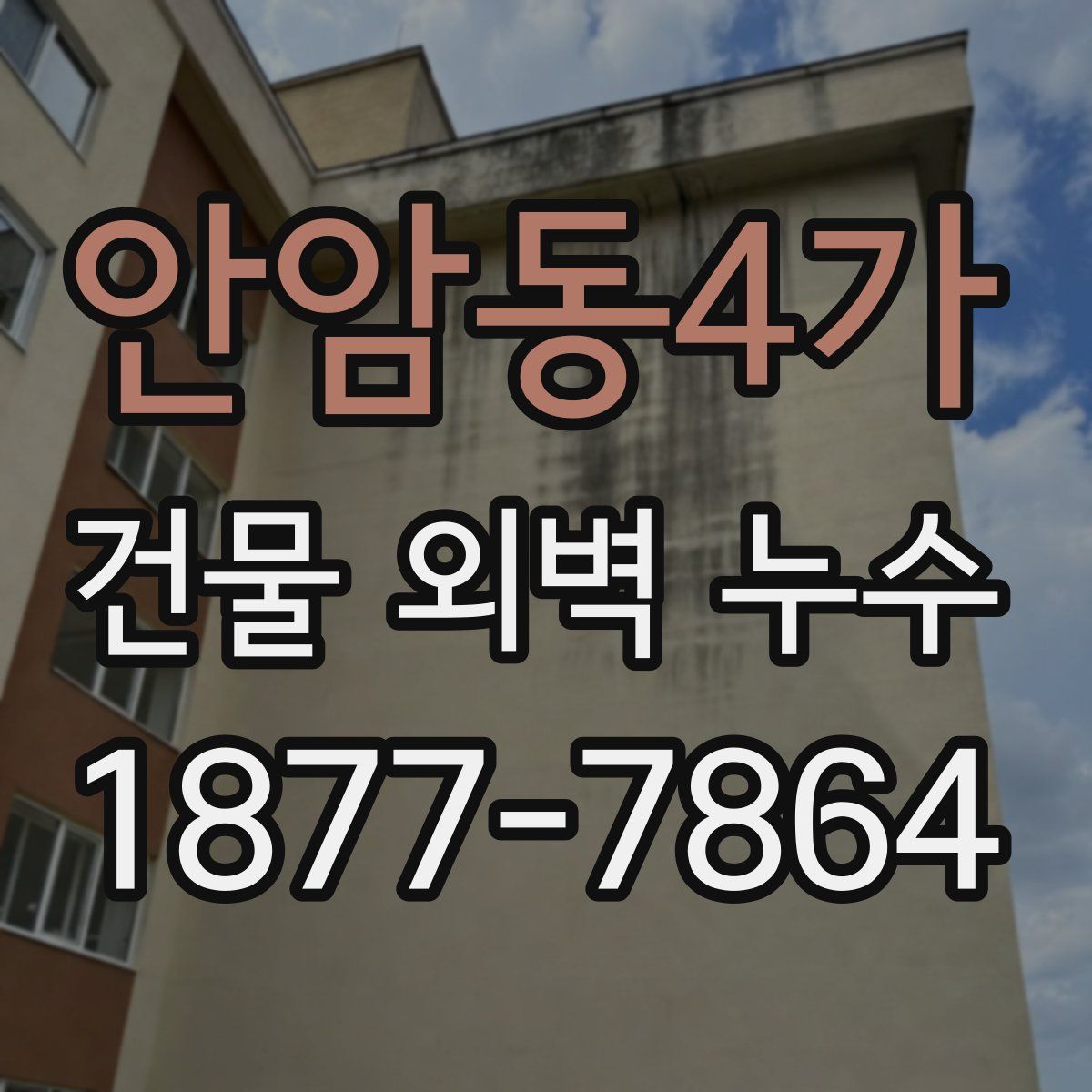 안암동4가 건물 외벽 누수