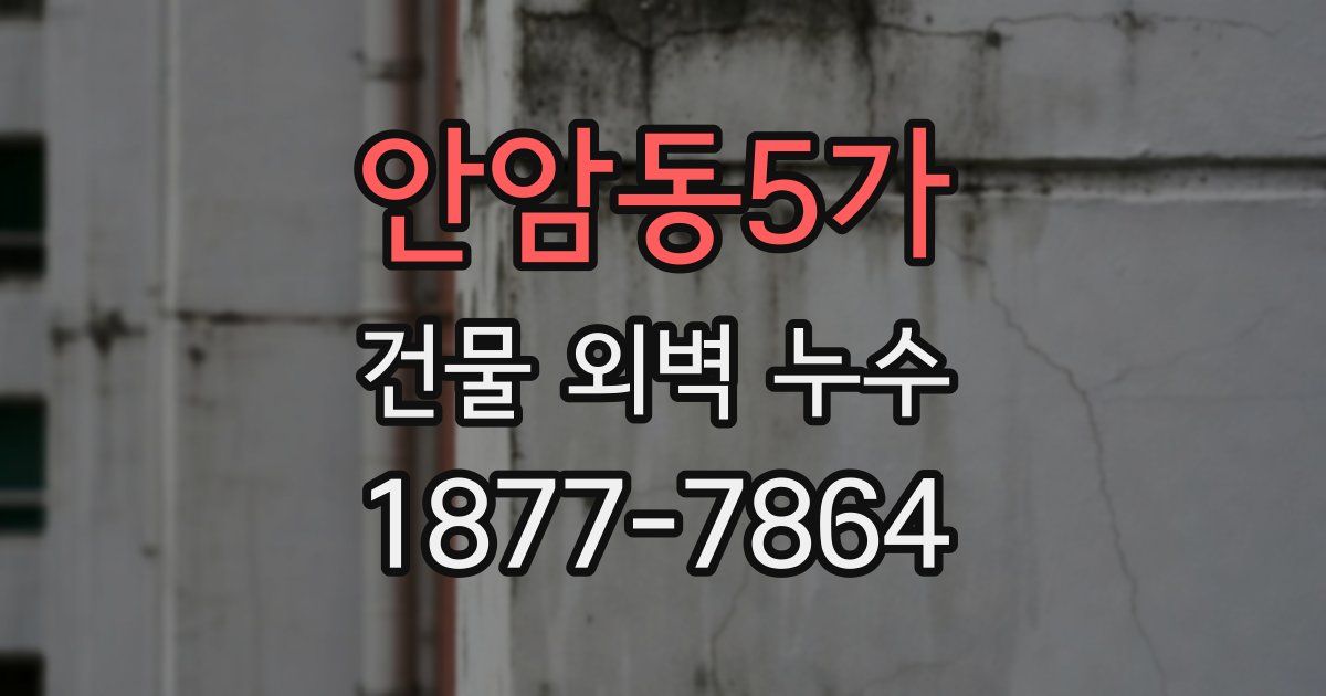안암동5가 건물 외벽 누수