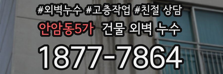 안암동5가 건물 외벽 누수