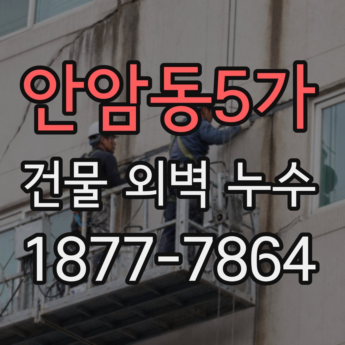 안암동5가 건물 외벽 누수