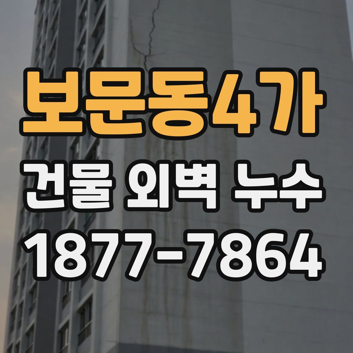 보문동4가 건물 외벽 누수