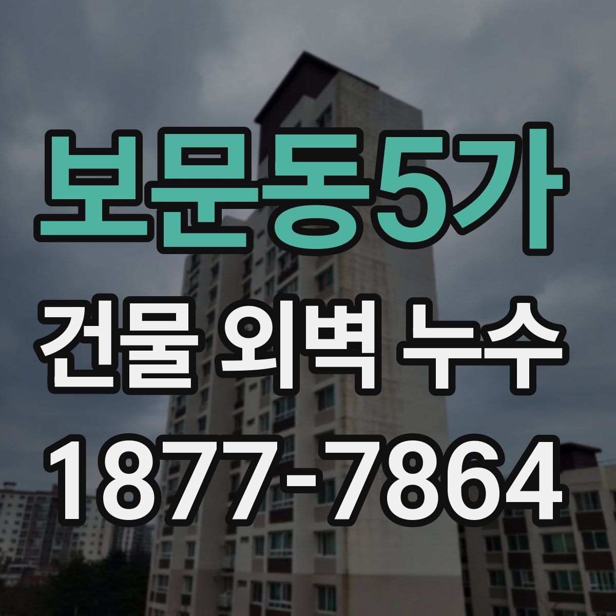 보문동5가 건물 외벽 누수