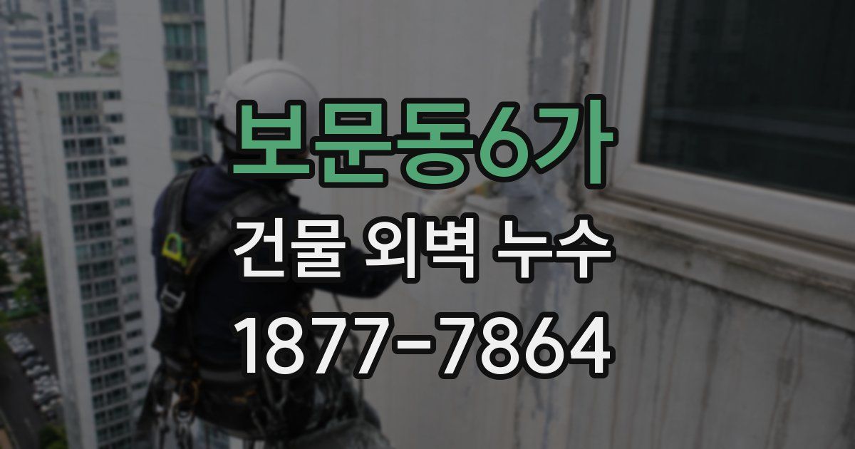 보문동6가 건물 외벽 누수