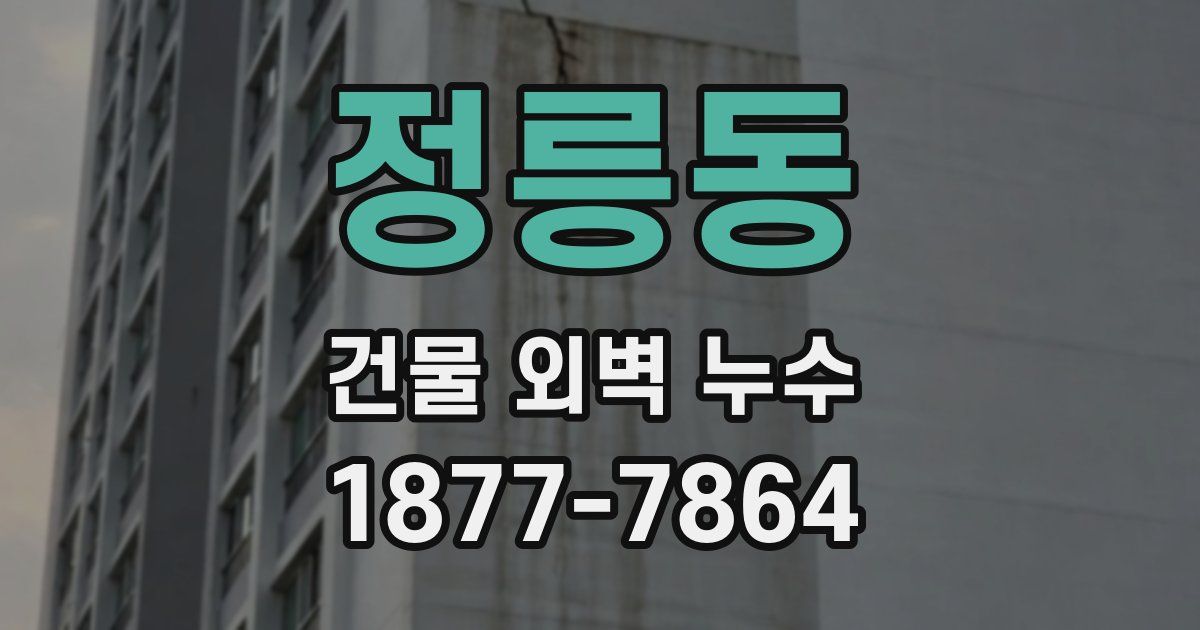 정릉동 건물 외벽 누수