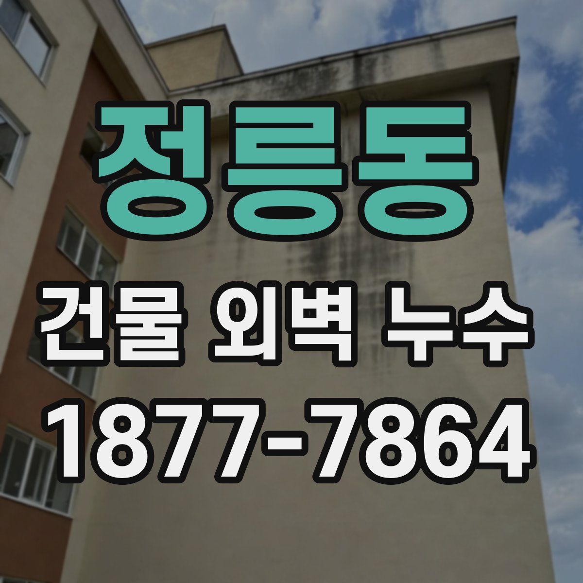 정릉동 건물 외벽 누수