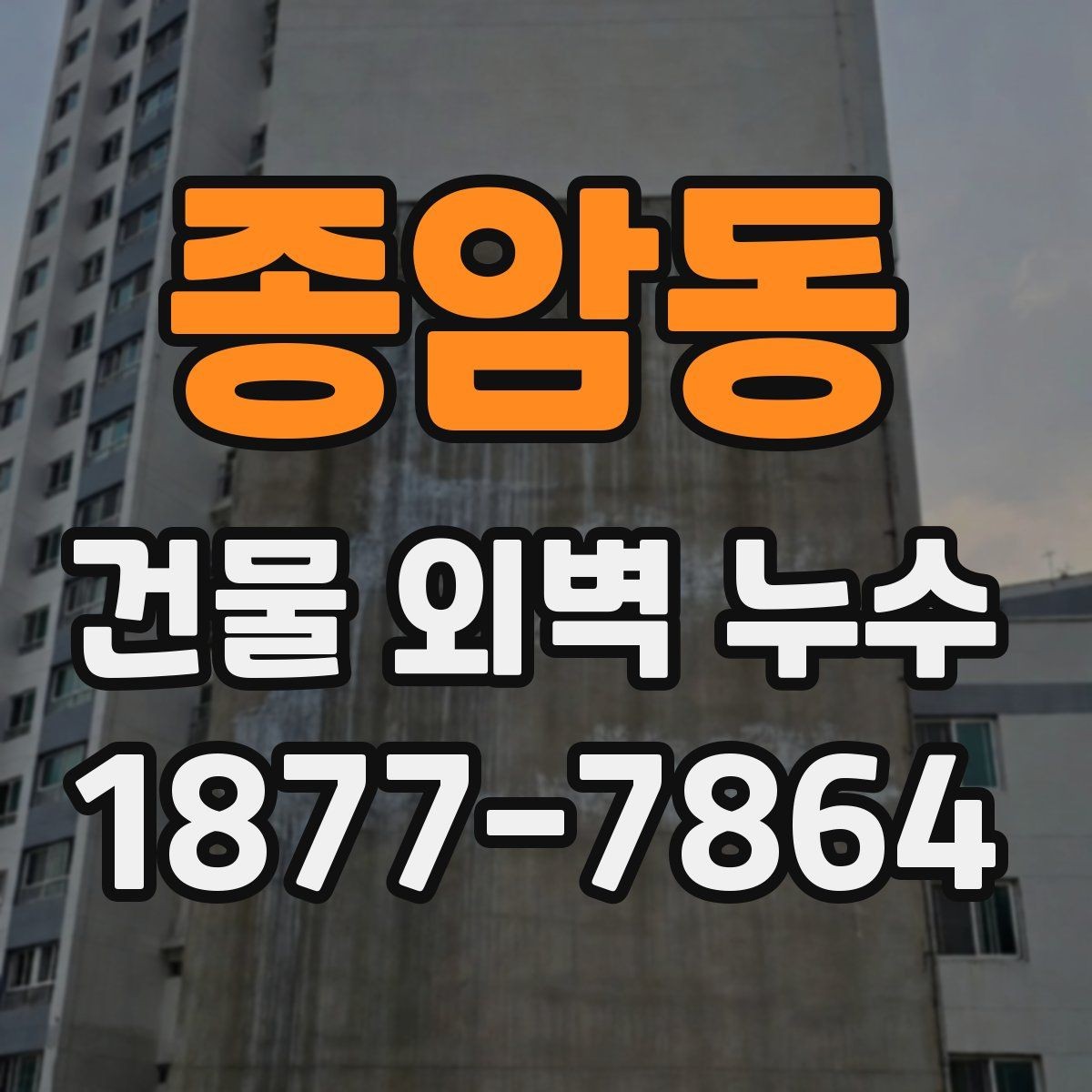 종암동 건물 외벽 누수 발생 원인을 찾는 실무 포인트