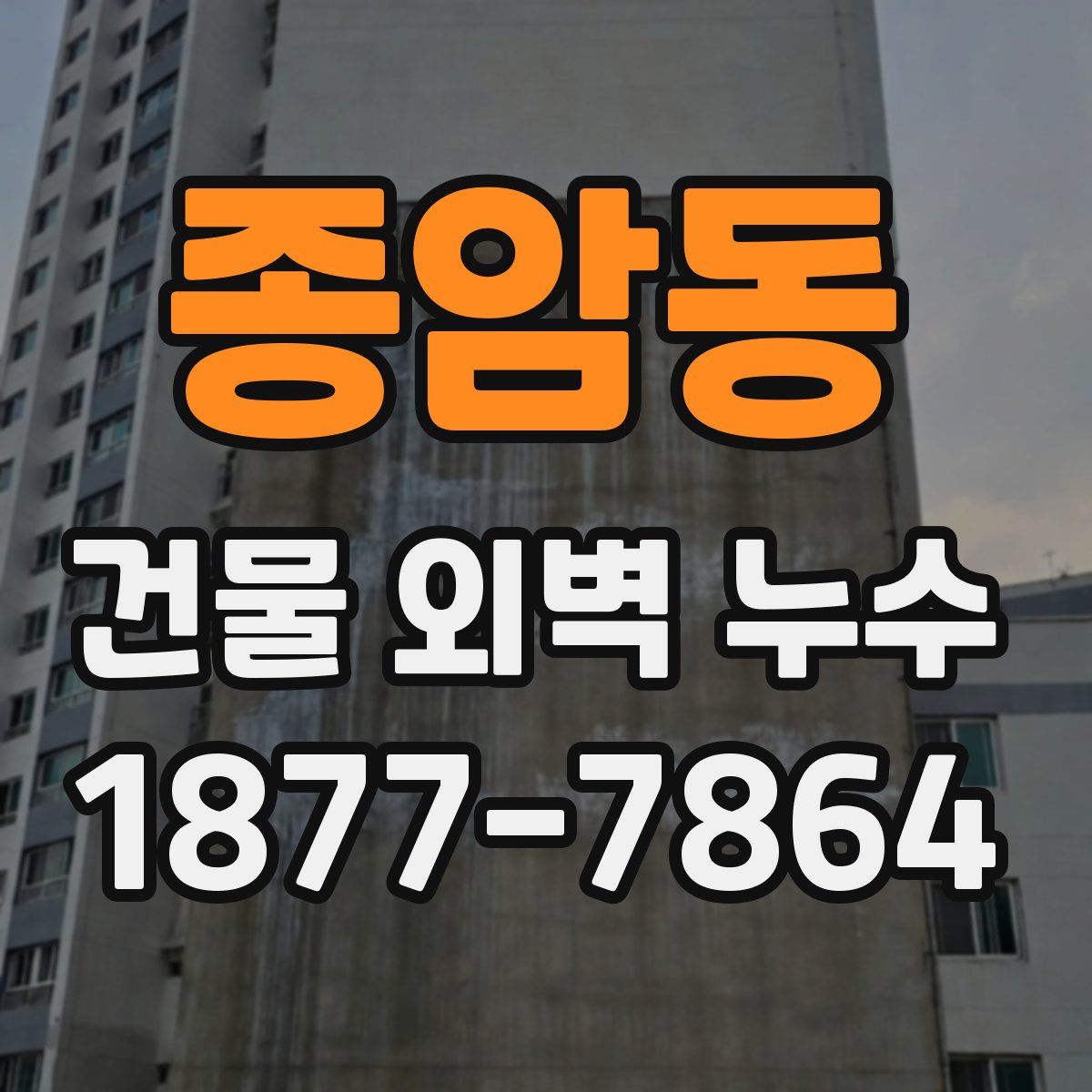 종암동 건물 외벽 누수