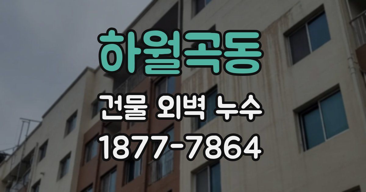 하월곡동 건물 외벽 누수