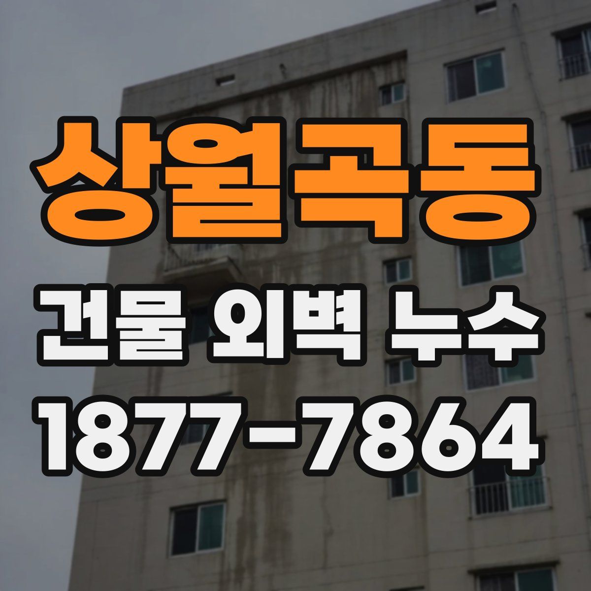 상월곡동 건물 외벽 누수
