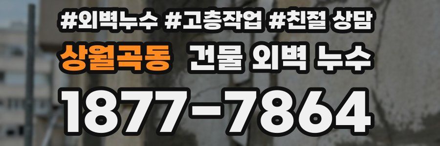 상월곡동 건물 외벽 누수