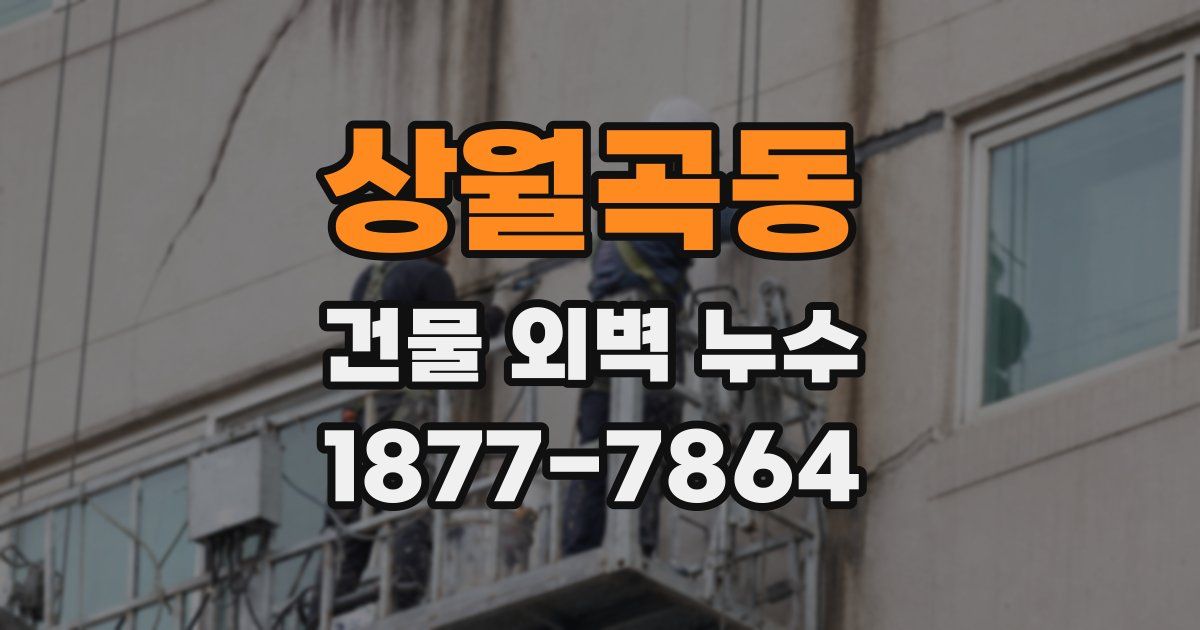 상월곡동 건물 외벽 누수