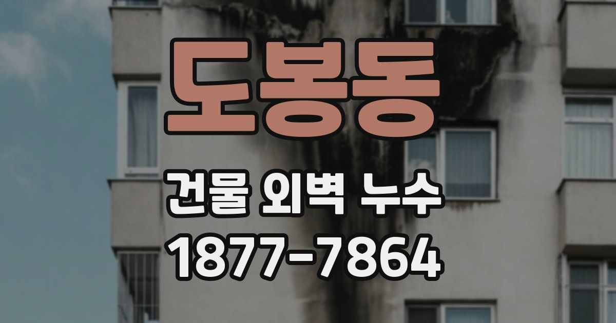 도봉동 건물 외벽 누수