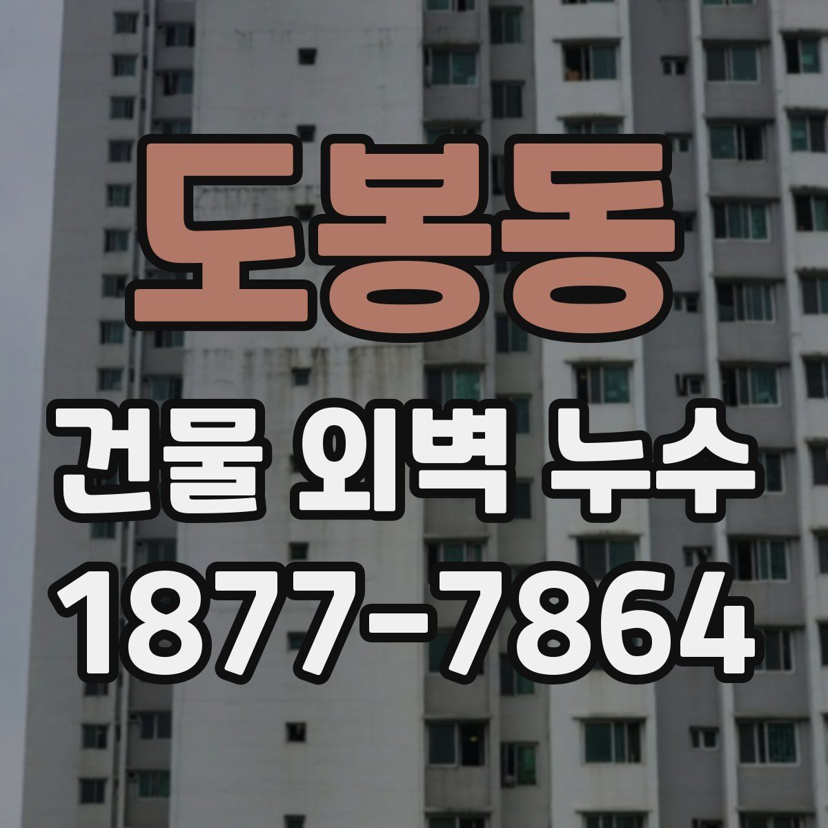 도봉동 건물 외벽 누수