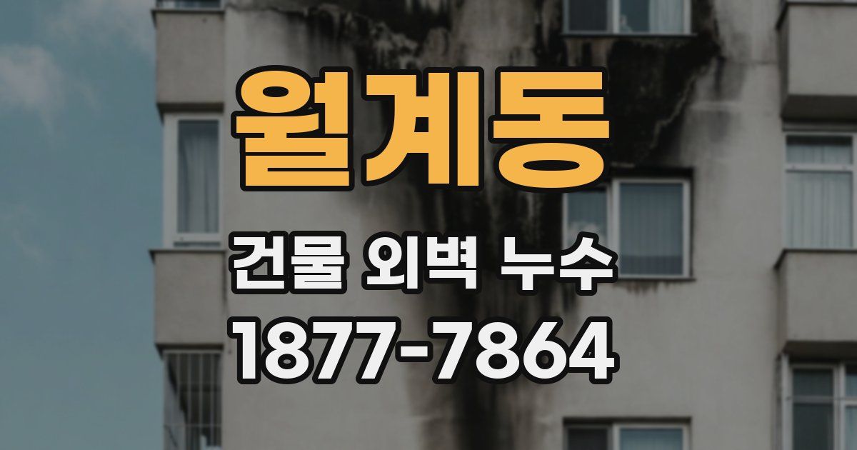 월계동 건물 외벽 누수