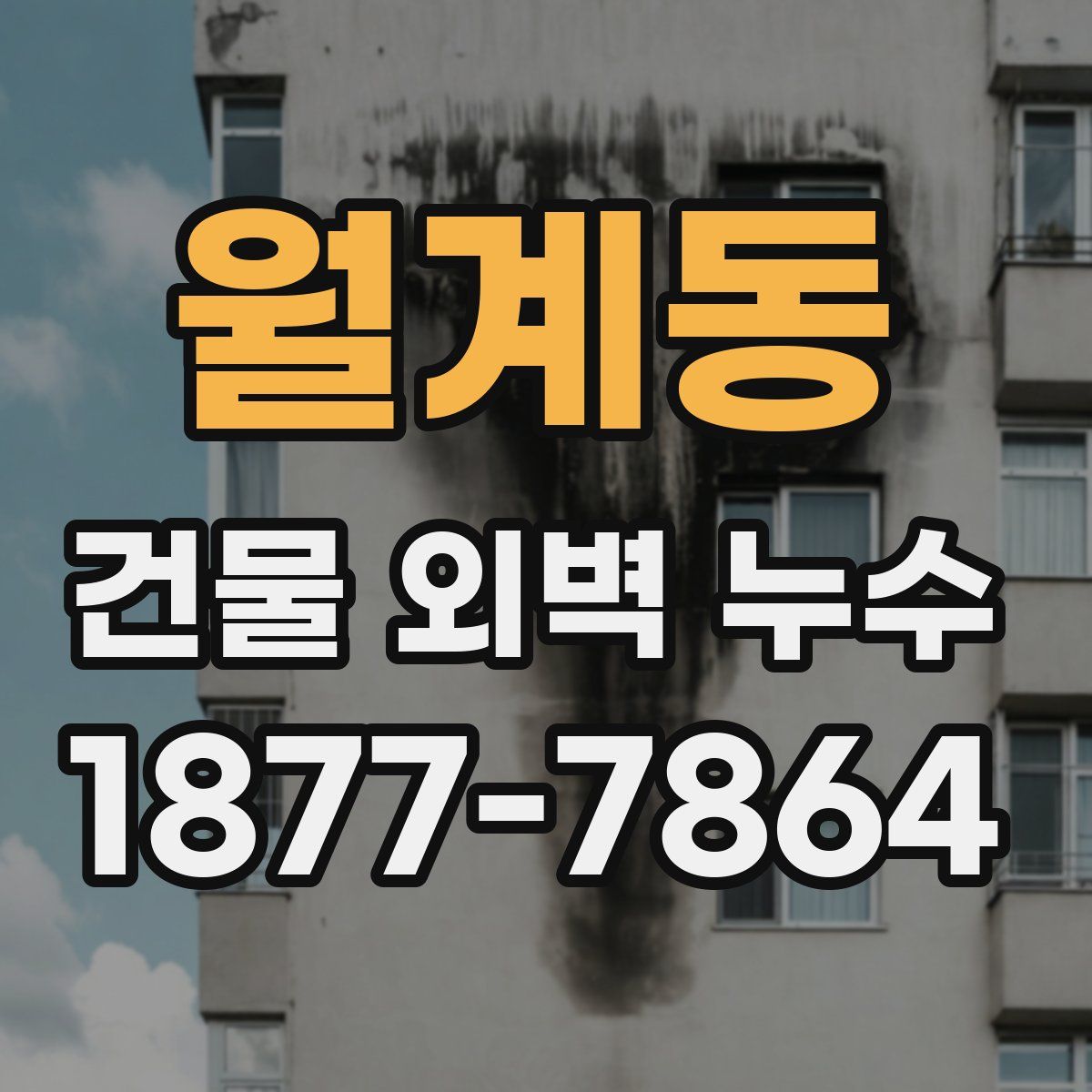 월계동 건물 외벽 누수