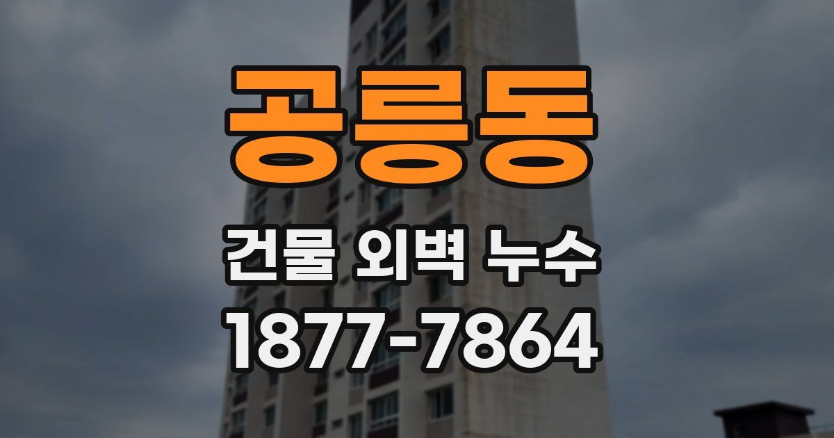 공릉동 건물 외벽 누수