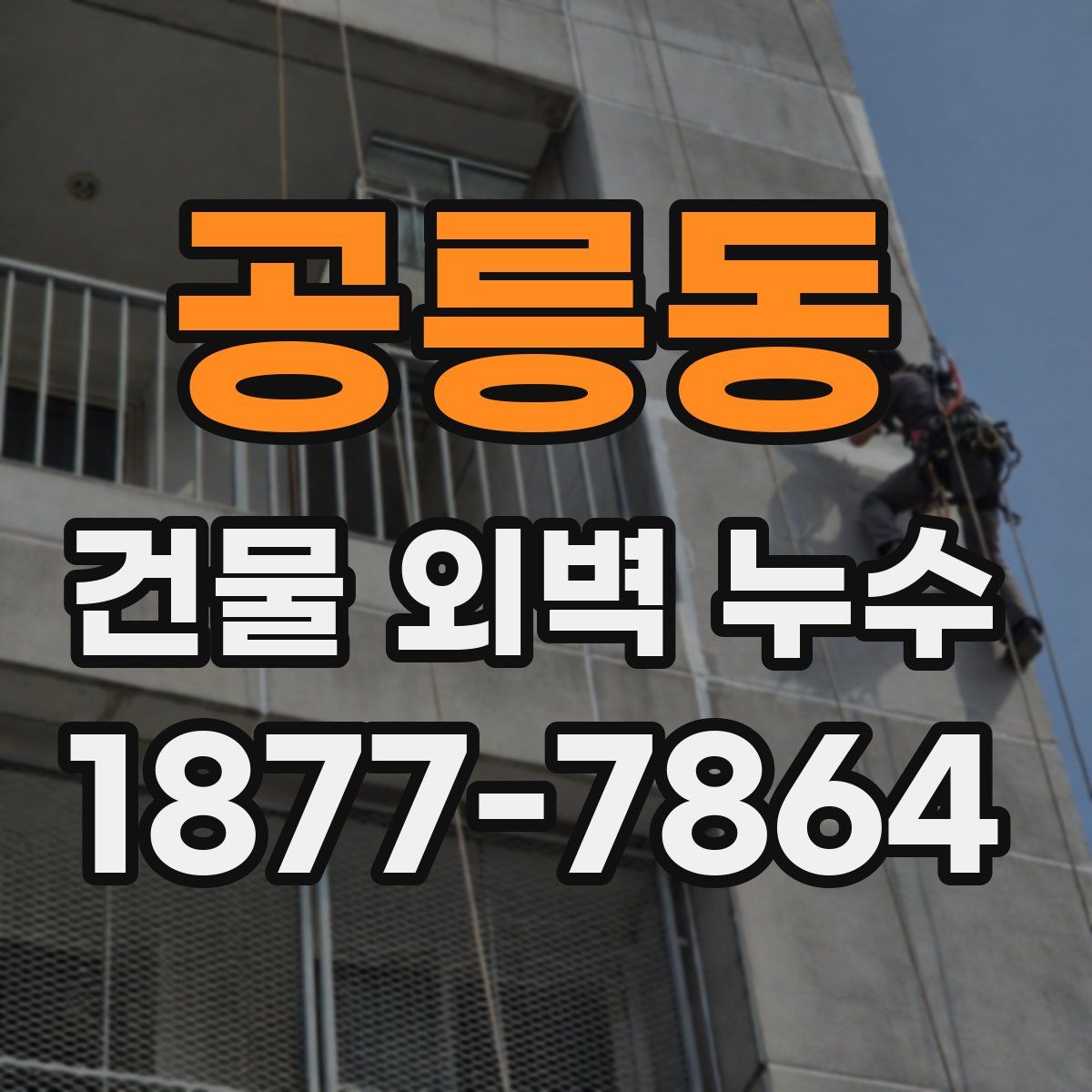 공릉동 건물 외벽 누수
