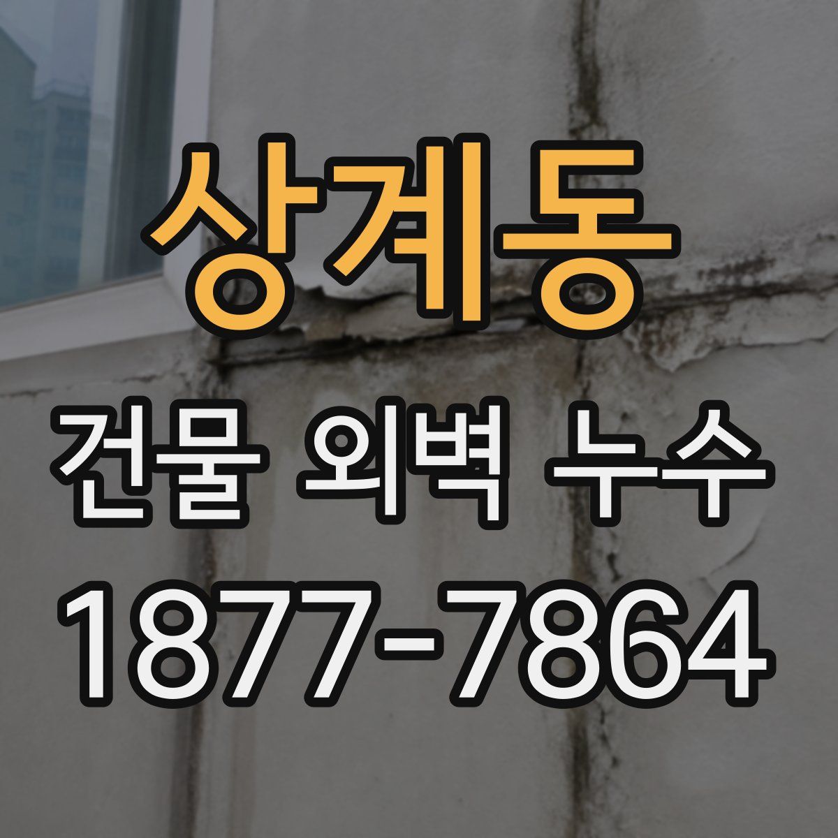 상계동 건물 외벽 누수