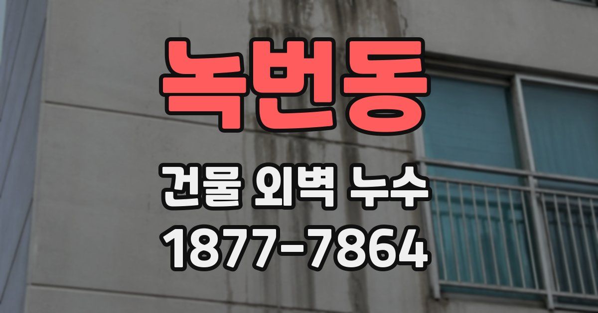 녹번동 건물 외벽 누수