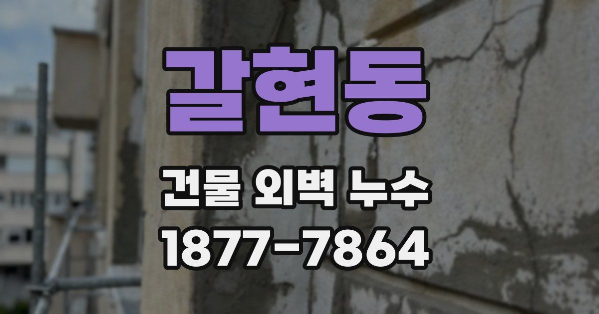 갈현동 건물 외벽 누수