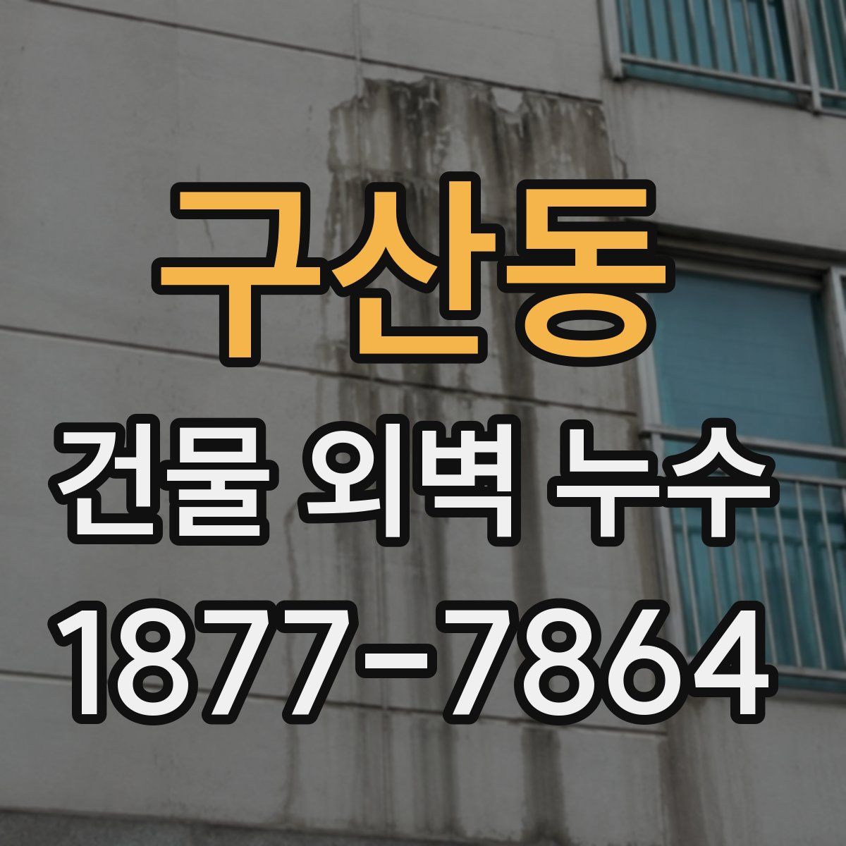 구산동 건물 외벽 누수