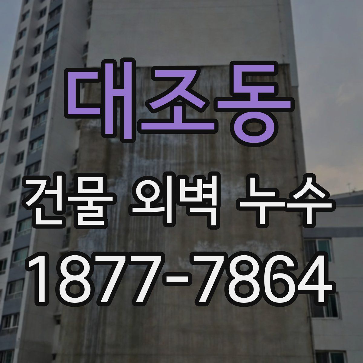 대조동 건물 외벽 누수