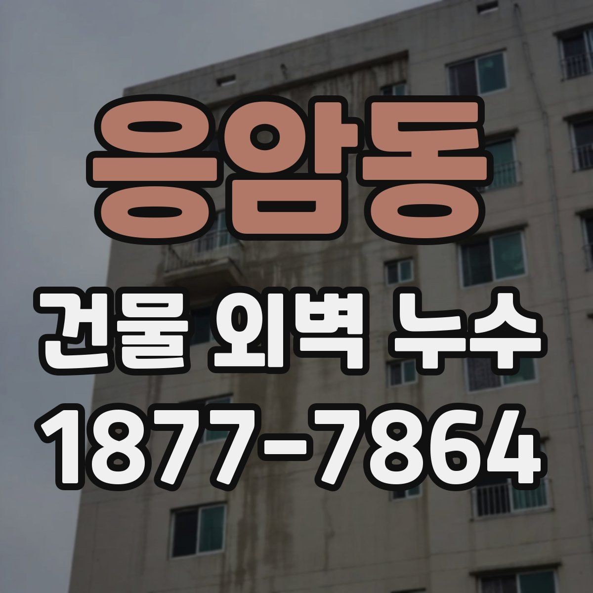 응암동 건물 외벽 누수 처리 과정에서 확인할 점