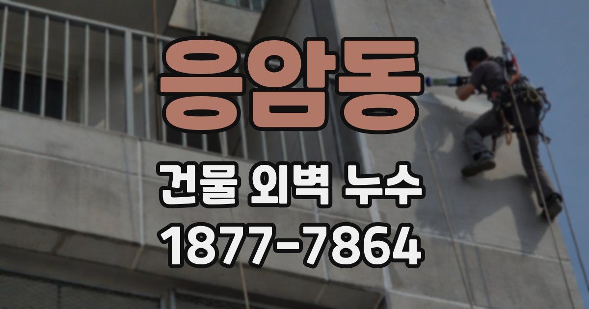 응암동 건물 외벽 누수