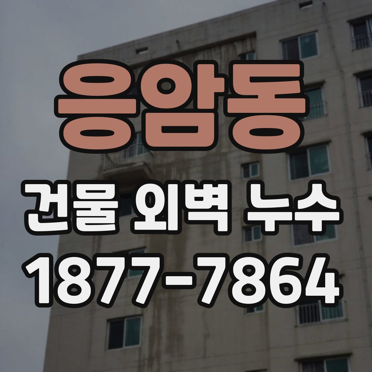 응암동 건물 외벽 누수