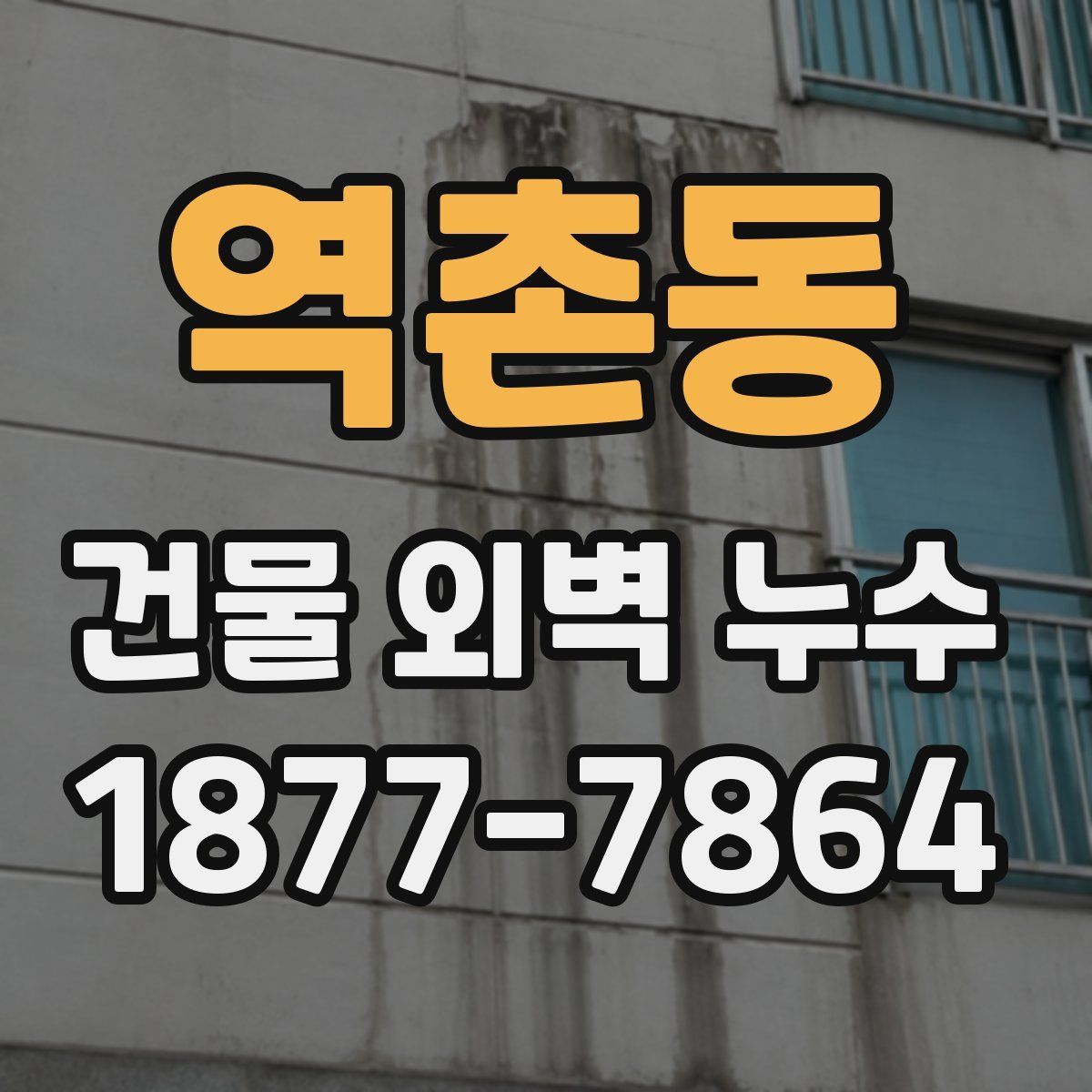 역촌동 건물 외벽 누수