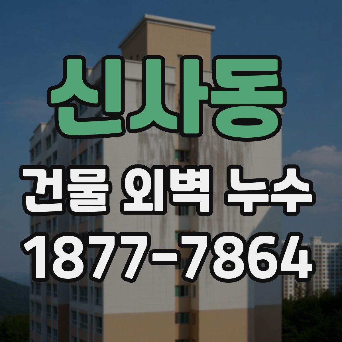 신사동 건물 외벽 누수 공사 업체 상담 전 체크사항