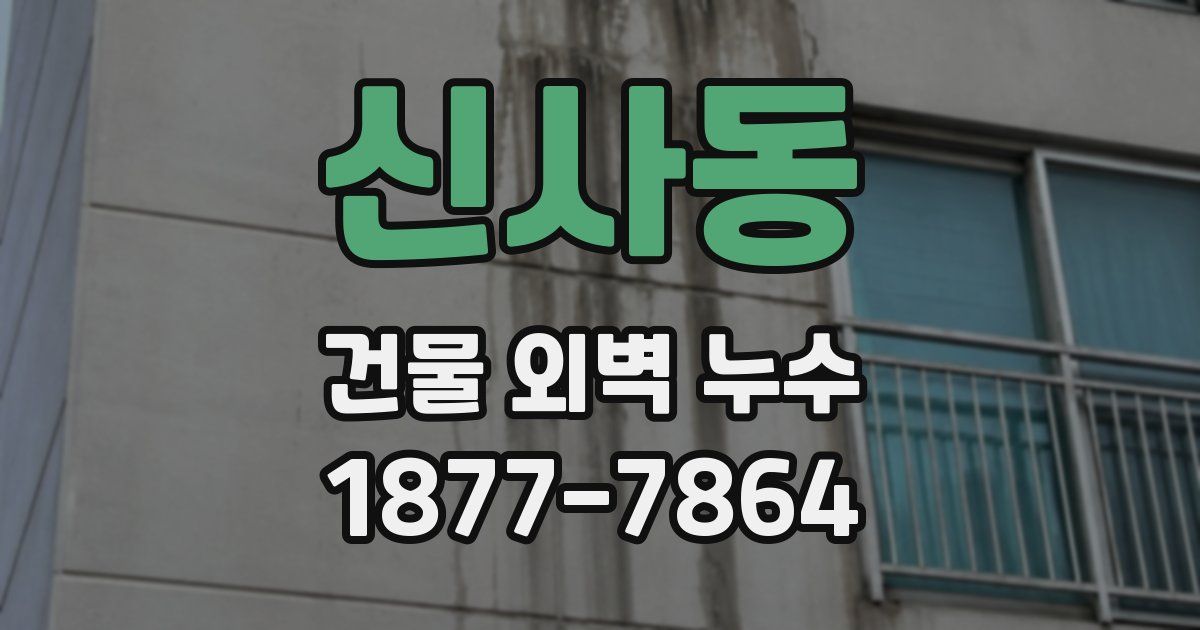 신사동 건물 외벽 누수