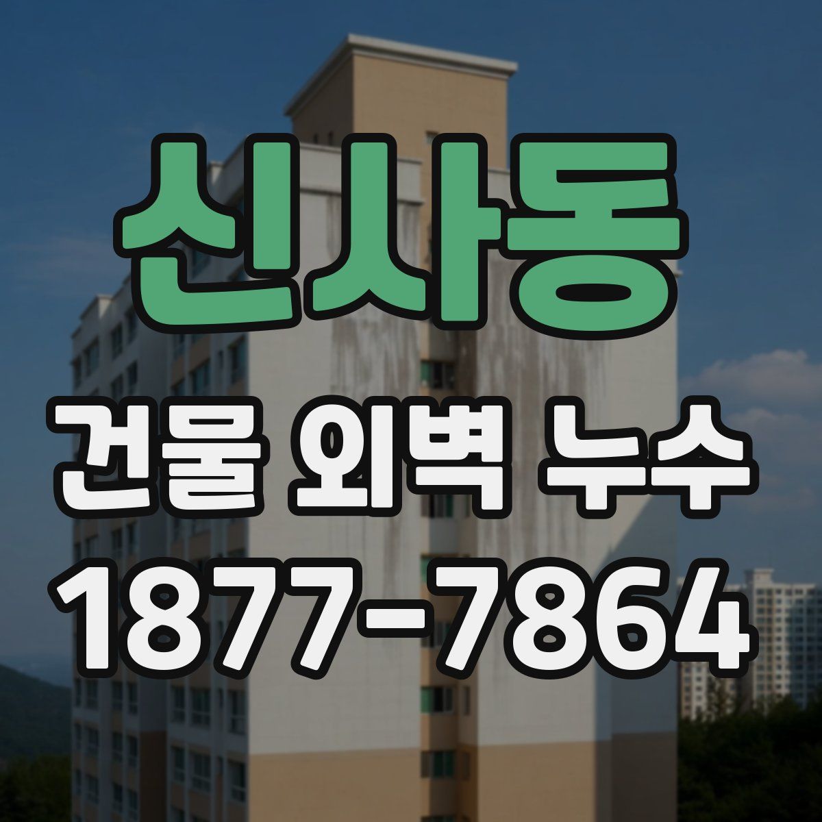 신사동 건물 외벽 누수