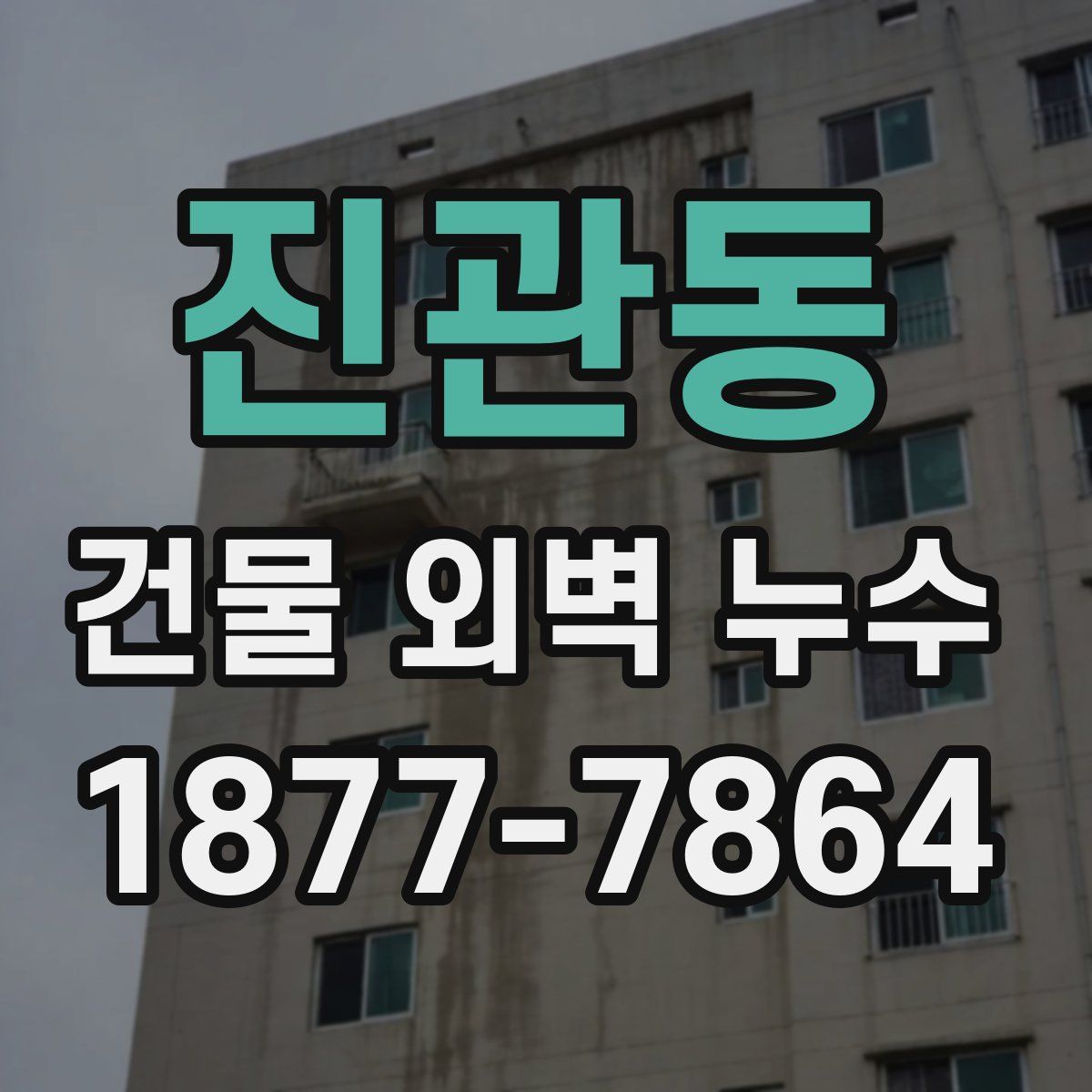 진관동 건물 외벽 누수