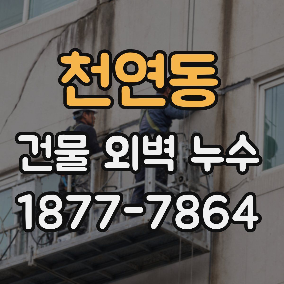 천연동 건물 외벽 누수