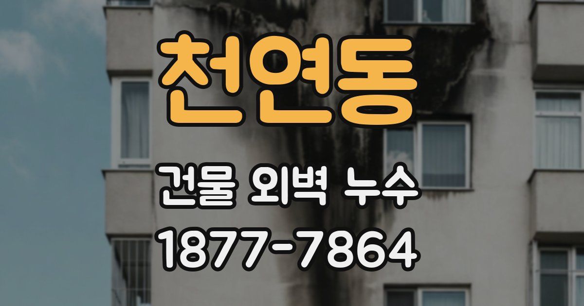 천연동 건물 외벽 누수