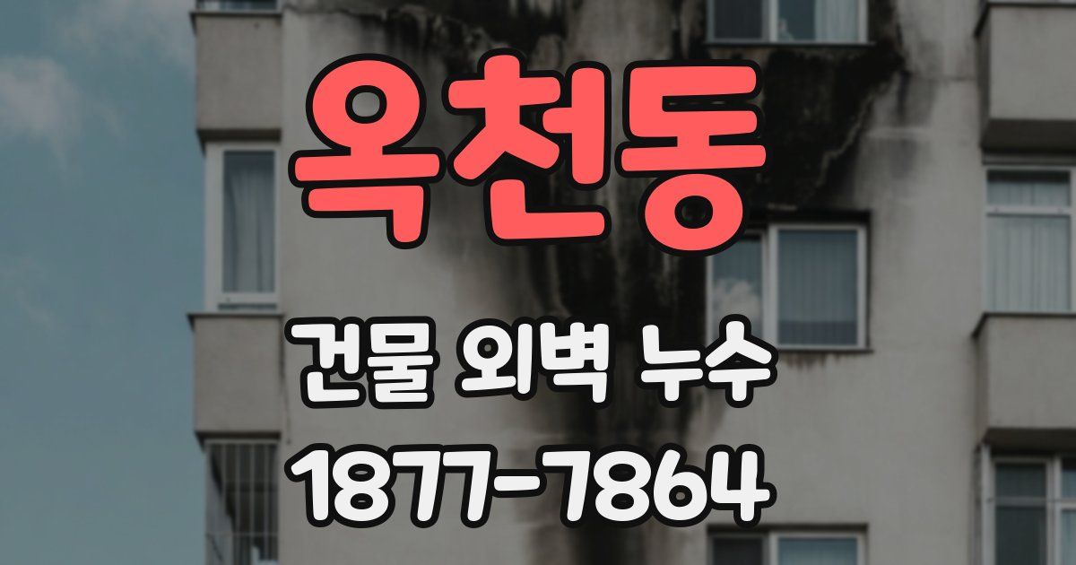 옥천동 건물 외벽 누수