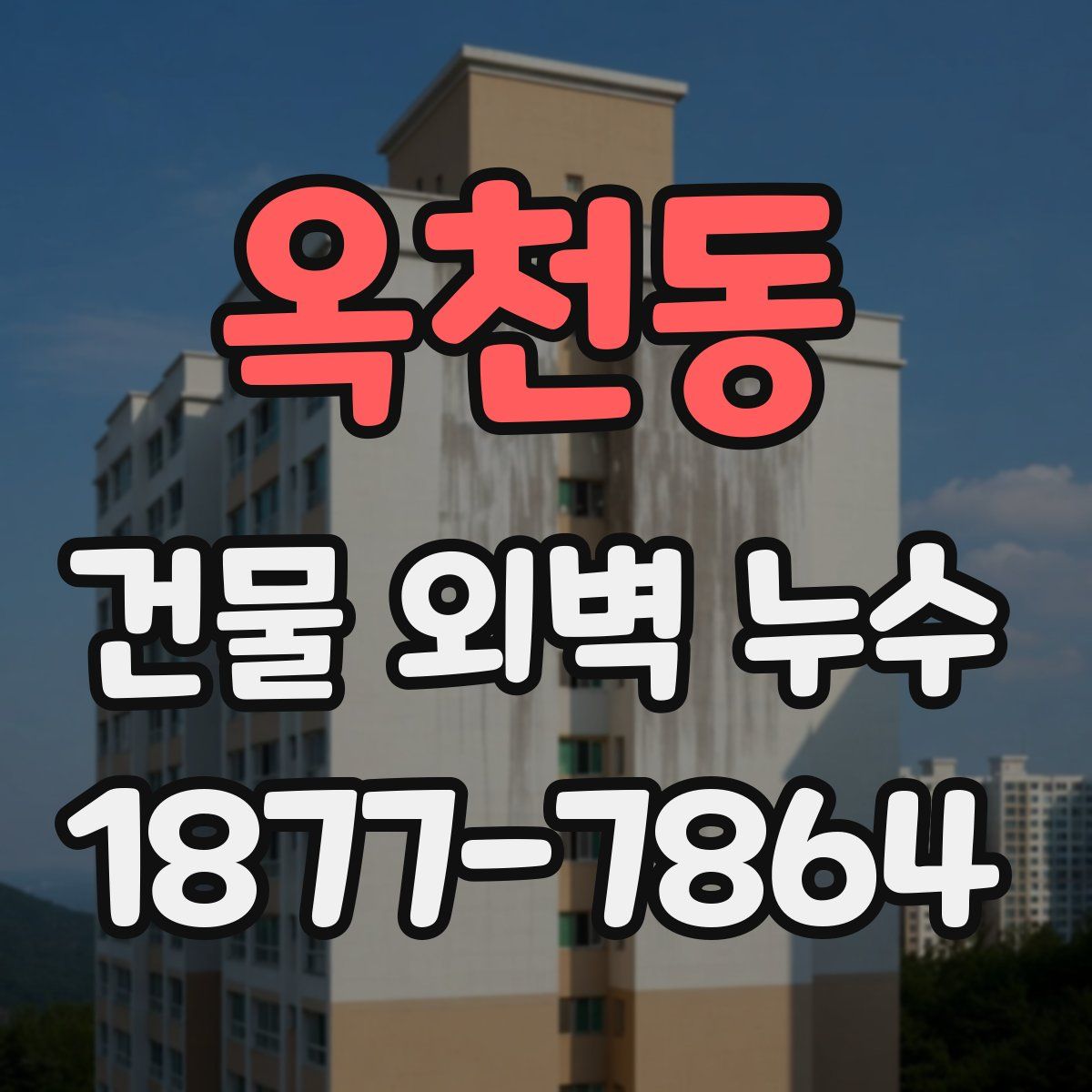 옥천동 건물 외벽 누수